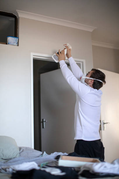Professional Mold Removal in Willmar, MN