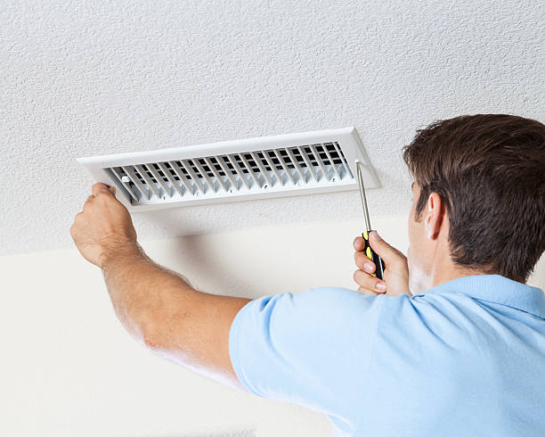 Best Attic Mold Removal  in Willmar, MN